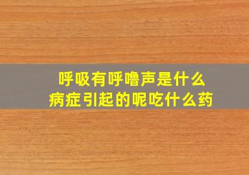 呼吸有呼噜声是什么病症引起的呢吃什么药