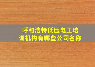 呼和浩特低压电工培训机构有哪些公司名称