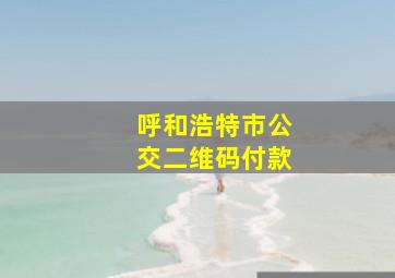 呼和浩特市公交二维码付款