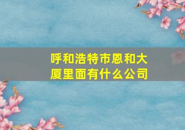 呼和浩特市恩和大厦里面有什么公司