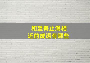 和望梅止渴相近的成语有哪些