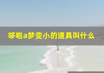 哆啦a梦变小的道具叫什么