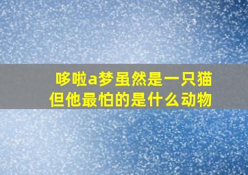 哆啦a梦虽然是一只猫但他最怕的是什么动物