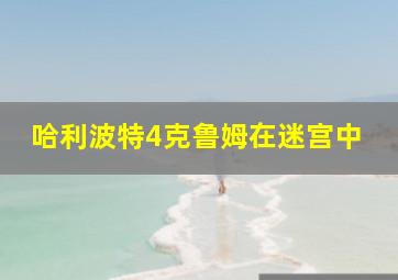 哈利波特4克鲁姆在迷宫中