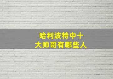 哈利波特中十大帅哥有哪些人