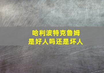 哈利波特克鲁姆是好人吗还是坏人