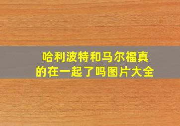 哈利波特和马尔福真的在一起了吗图片大全