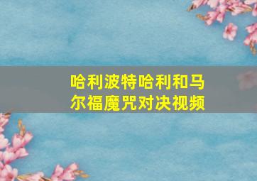 哈利波特哈利和马尔福魔咒对决视频