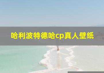 哈利波特德哈cp真人壁纸