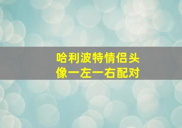 哈利波特情侣头像一左一右配对