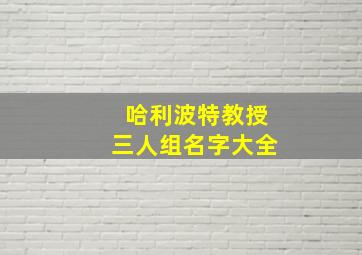 哈利波特教授三人组名字大全