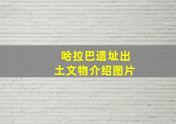 哈拉巴遗址出土文物介绍图片