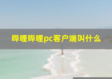 哔哩哔哩pc客户端叫什么