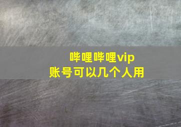 哔哩哔哩vip账号可以几个人用