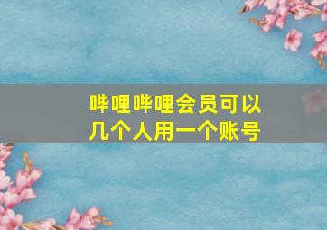 哔哩哔哩会员可以几个人用一个账号