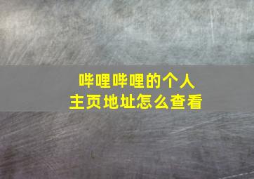 哔哩哔哩的个人主页地址怎么查看