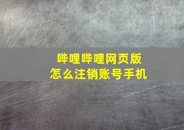 哔哩哔哩网页版怎么注销账号手机