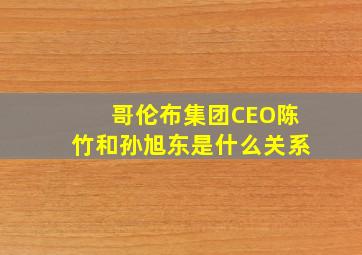 哥伦布集团CEO陈竹和孙旭东是什么关系