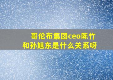 哥伦布集团ceo陈竹和孙旭东是什么关系呀