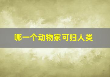 哪一个动物家可归人类