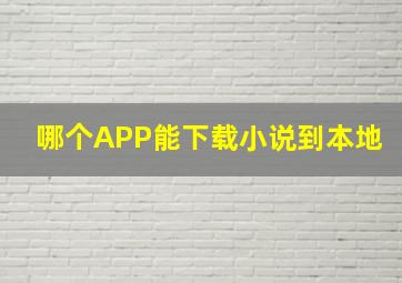 哪个APP能下载小说到本地