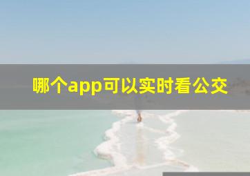 哪个app可以实时看公交