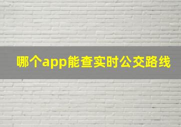 哪个app能查实时公交路线