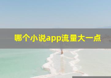 哪个小说app流量大一点