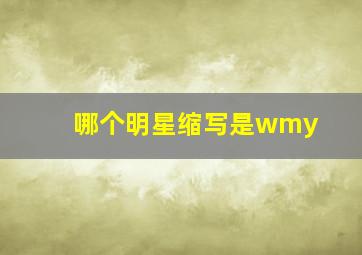 哪个明星缩写是wmy