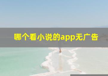 哪个看小说的app无广告