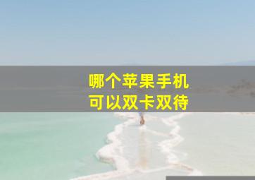 哪个苹果手机可以双卡双待