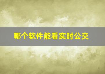 哪个软件能看实时公交