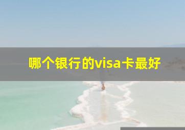 哪个银行的visa卡最好