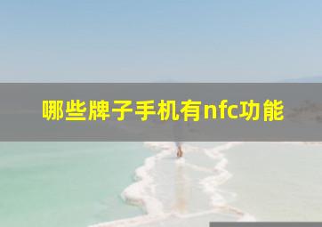 哪些牌子手机有nfc功能