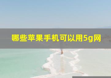 哪些苹果手机可以用5g网