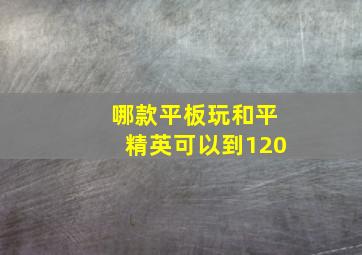 哪款平板玩和平精英可以到120