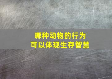 哪种动物的行为可以体现生存智慧