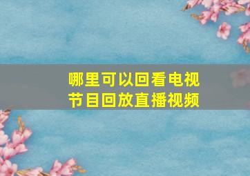 哪里可以回看电视节目回放直播视频