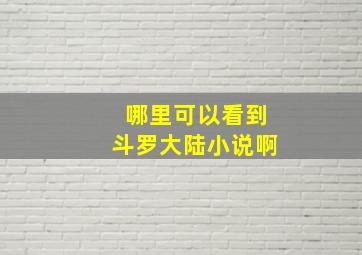 哪里可以看到斗罗大陆小说啊