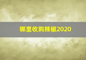 哪里收购辣椒2020