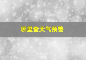 哪里查天气预警