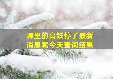 哪里的高铁停了最新消息呢今天查询结果