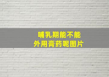 哺乳期能不能外用膏药呢图片