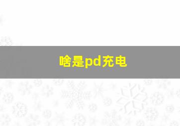 啥是pd充电