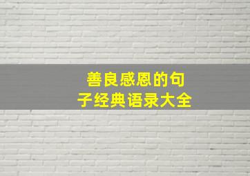 善良感恩的句子经典语录大全