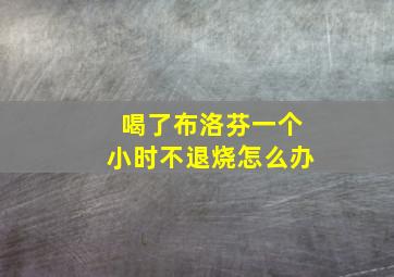 喝了布洛芬一个小时不退烧怎么办