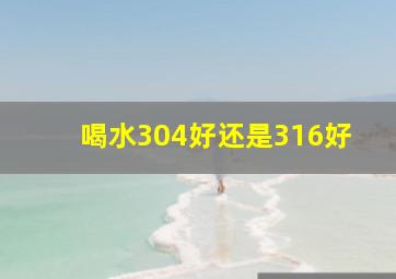 喝水304好还是316好