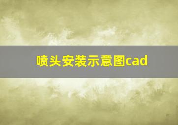 喷头安装示意图cad