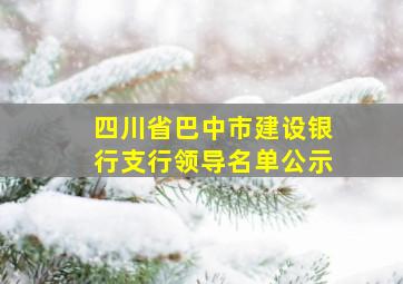 四川省巴中市建设银行支行领导名单公示