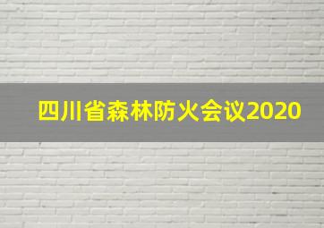 四川省森林防火会议2020